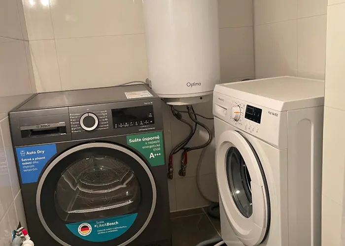 U Tonyho - 1-kk Apartment